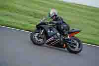 Evening Low_Mid Group Black Bikes